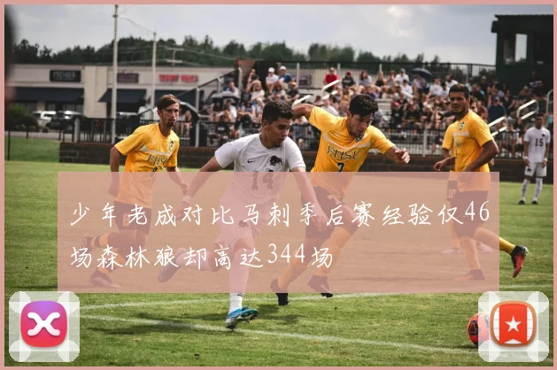 少年老成对比马刺季后赛经验仅46场森林狼却高达344场
